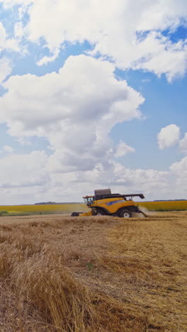harvesters working in the field. combines working on the large wheat field vertical video