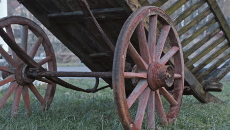 Viejo-Carruaje-Tirado-Por-Caballos-En-La-Hierba