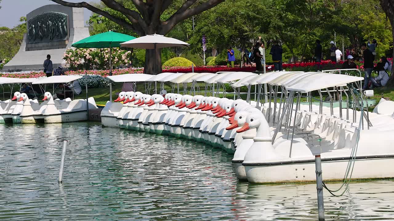 경치 좋은 공원 에 줄지어 있는 오리 배 들