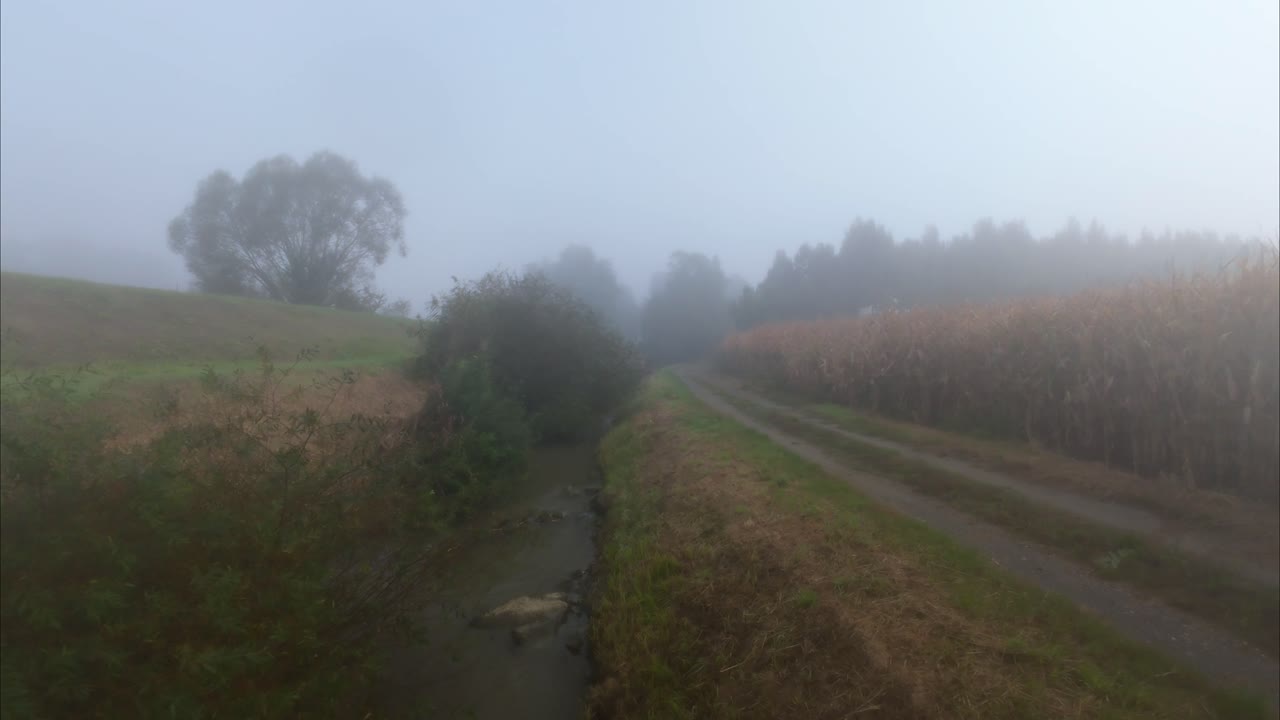 Austria's Styria region, Leibnitz, will have a humid and cloudy day tomorrow with fog