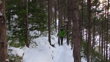 hombre vestido con un anorak verde caminando por un sendero de montaña entre árboles en un bosque nevado