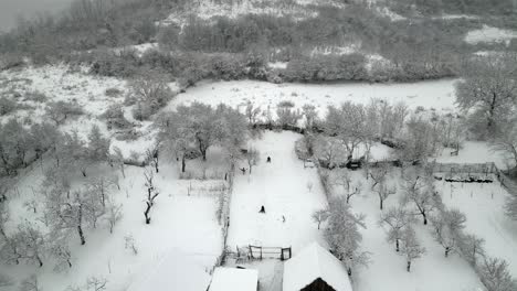 parallax shot in winter of two peoples going on sledge