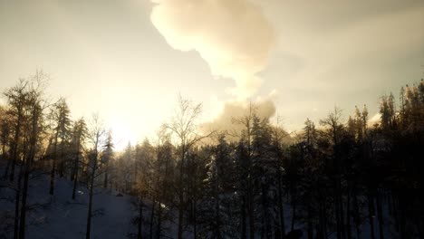 Winterlandschaft-Bei-Sonnenuntergang