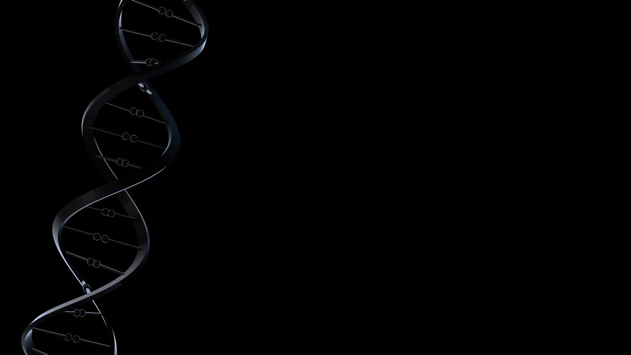 dna-sx color negro y azul