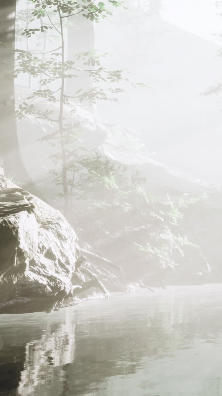 Misty morning tranquility by the serene river in a dense forest landscape