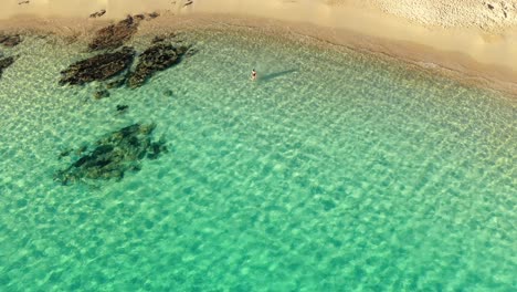 Toma-Aérea-De-Pedestal-De-Una-Mujer-Joven-Caminando-Hacia-Aguas-Claras-Y-Tranquilas-De-Color-Verde-Esmeralda-En-La-Playa-De-Teurredda-En-El-Sur-De-Cerdeña,-Italia-En-Un-Día-Soleado