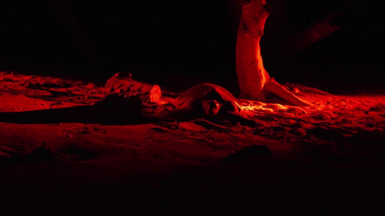 Loggerhead turtle laying eggs at night on a beach in Costa Rica, illuminated by red light.