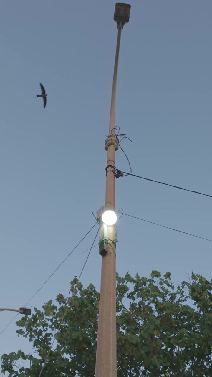 Tiang Lampu Jalan Terang Berlatar Langit Senja