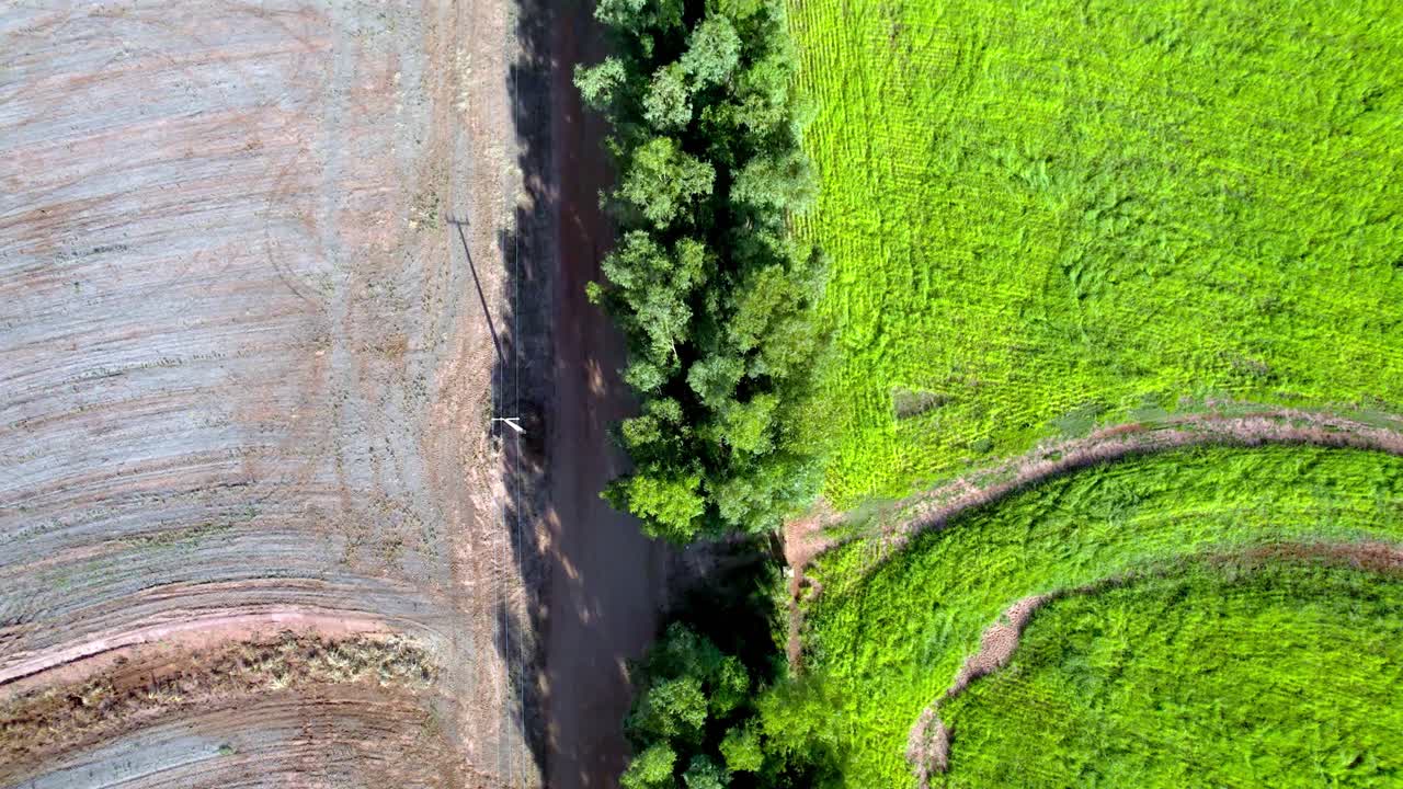 preparación de las zonas de pastoreo degradadas