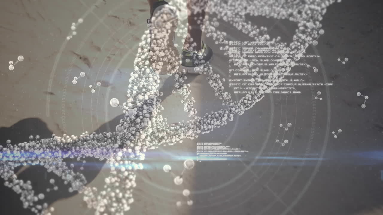 건강 한 생활 방식 과 신체 활동