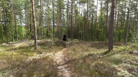 Girl-with-Dog-at-Hiking-Trail-in-Open-Space-in-Forest,-Slow-Motion