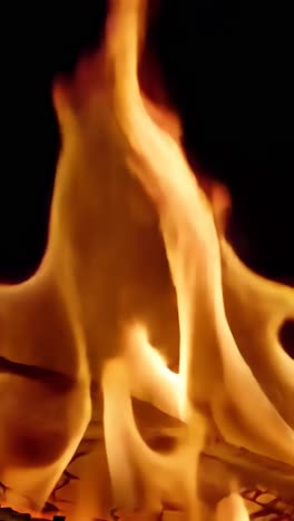 close-up of a fire