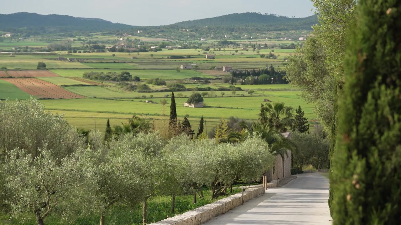 Splendida campagna estiva ondulata a Maiorca
