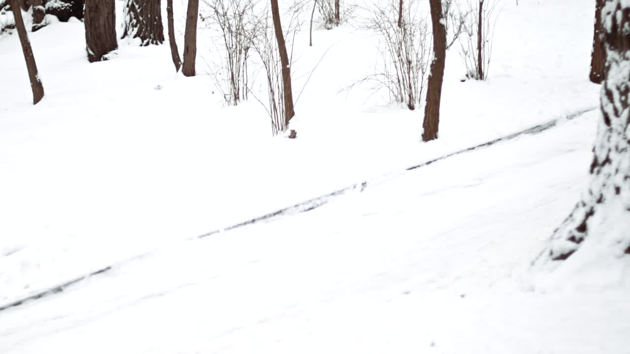 Chisinau, Moldova - December 28, 2021: Little girl riding on a sleigh in the park