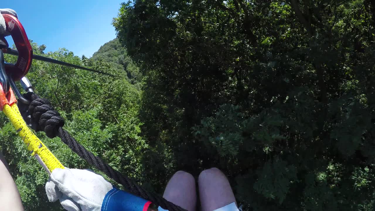 amicalola falll 주립 공원의 숲에 있는 키 큰 나무에서 pov 사람 zip-lining