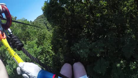 pov person zip-lining in tall trees in forest in amicalola falll state park