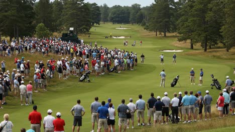 spectators gather to witness a golf tournament: a thrilling display of skill and strategy on a beautiful day in nature