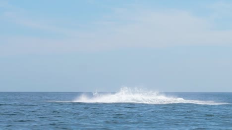 Ballena-Jorobada-Rompiendo-La-Superficie-Y-Haciendo-Un-Chapoteo-En-La-Espalda