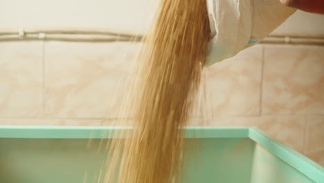 pouring wheat into a container