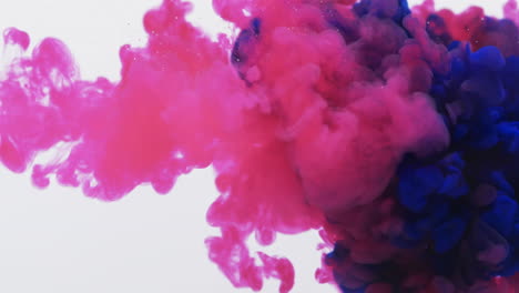 video en cámara lenta de tinta de acuarela rosa y azul mezclada con agua contra un fondo gris