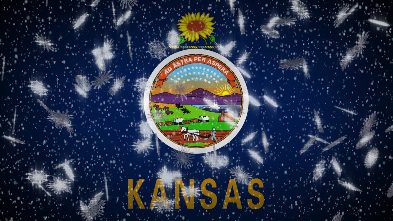 캔자스 발이 눈을 내리고, 새해와 크리스마스 배경, 루프