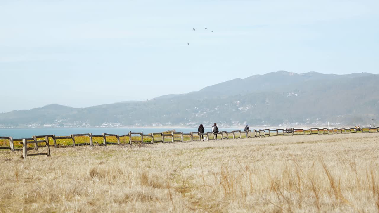 한 무리의 사람들이 해변을 걷고 있다
