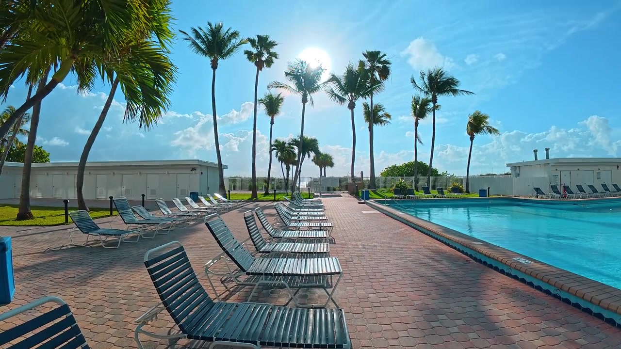 Empty sun loungers by outdoor swimming pool under sunny sky in Miami. Blue lounge chairs sit on red brick patio beside clear pool water surrounded by palm trees in Miami.