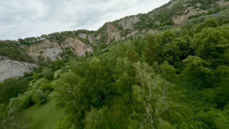 a view from above on the crowns of tall trees growing on top of the mountain. several catamarans are moored near the banks of the river. water ride, special equipment.