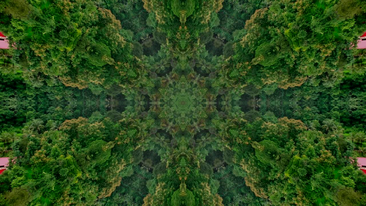 alm relajante caleidoscopio mandala selva interminable