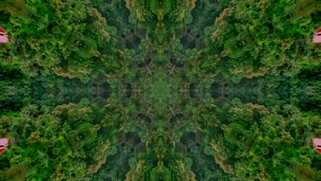 alm relaxing  kaleidoscope  mandala endless jungle