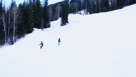 people snowboarding on snowy mountain