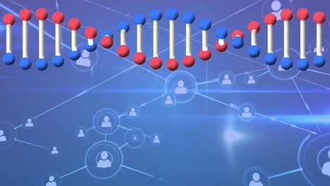 Animation-of-graphical-dna-helix-rotating-over-profile-icons-interconnecting-with-lines