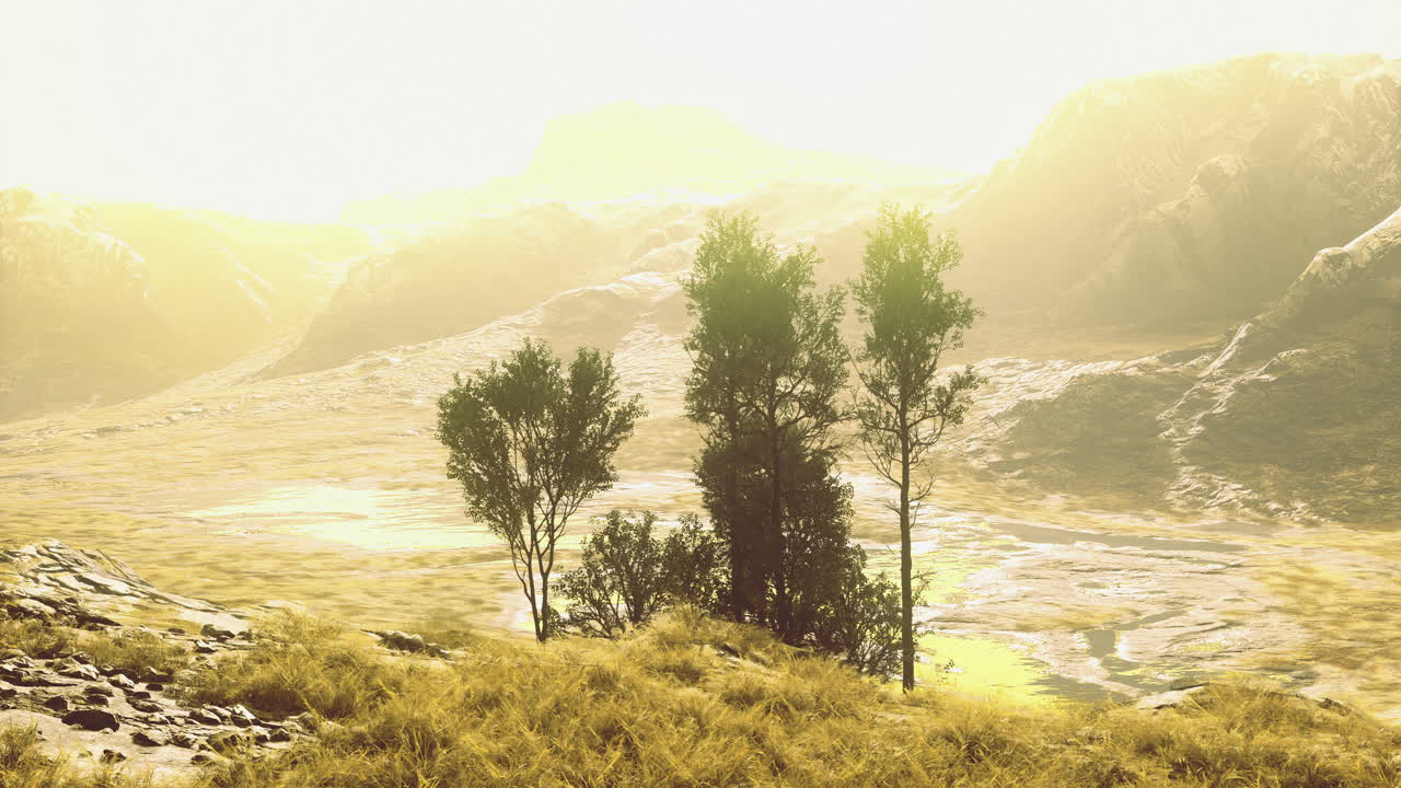 Golden landscape with trees under bright sunlight at dawn in a serene setting