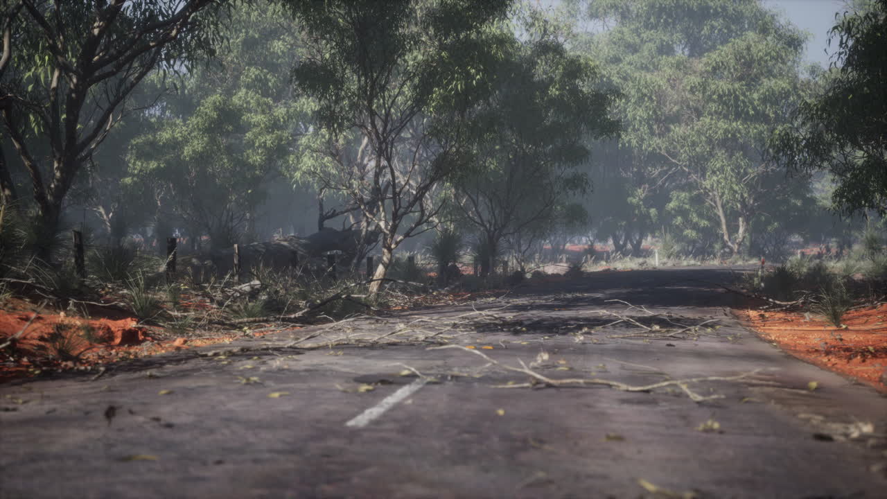 오스트레일리아 외의 신비한 안개 길