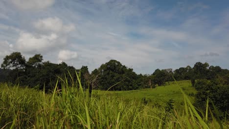 Landschaft,-Blauer-Himmel,-Sich-Bewegende-Wolken,-Menschen-Natur-Zu-Fuß-In-Der-Ferne