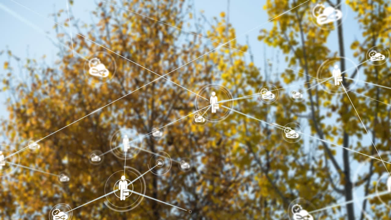 푸른 하늘을 배경으로 높은 나무 위의 디지털 아이콘 네트워크의 애니메이션