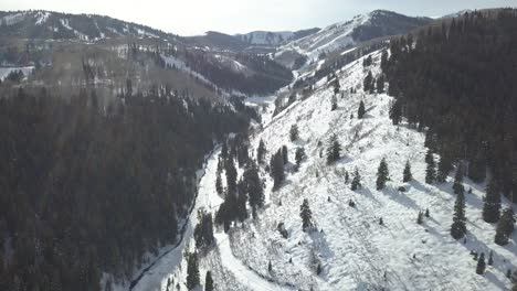 aerial view of snowy mountains with trees and ski slopes