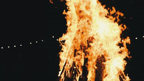 bonfire burns at night on a black background on nature