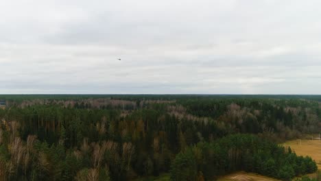 mi-24 helicopter flying above woodlands of ukraine, aerial view