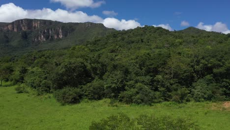 Die-Schönheit-Der-Urwälder-Und-Der-Artenvielfalt-Der-Brasilianischen-Savanne-–-Aufsteigende-Luftaufnahme-Der-Rauen-Landschaft