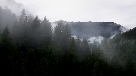 Eslovenia-Misty-Mountain-Paisaje-Drone-Aéreo-3.mp4