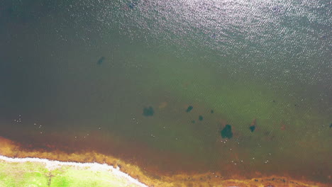 Aerial-top-down-view-starting-at-the-edge-of-a-lake-then-traveling-over-the-water,-water-shimmering-in-the-sunlight