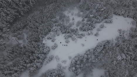 Imágenes-Aéreas-De-Personas-Caminando-En-La-Montaña-Nevada-En-Invierno