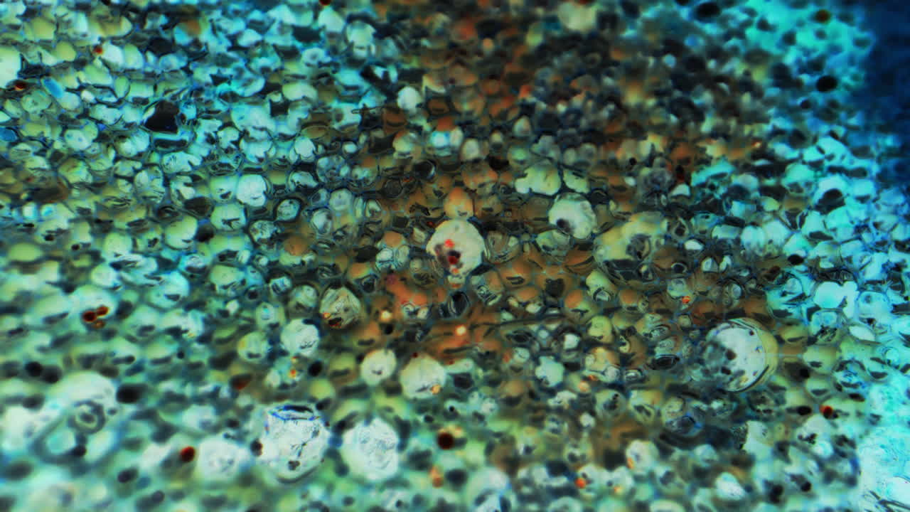 Abstract Microscopic Texture