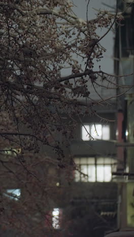 ramas de árboles heladas entrelazadas con edificios residenciales en iluminación suave y tenue, creando una escena urbana de invierno serena con tonos apagados y una mezcla de naturaleza y arquitectura de la ciudad