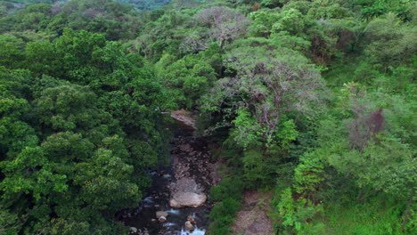 Los-Exuberantes-Cajones-De-Chame-En-Panamá,-Arroyo-Sinuoso-A-Través-De-Una-Densa-Vegetación,-Vista-Aérea