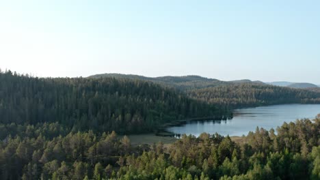 evergreen coniferous forest and lake near rural village