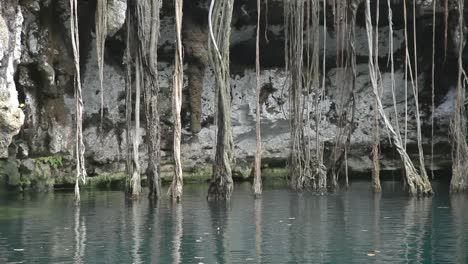 cenote 02