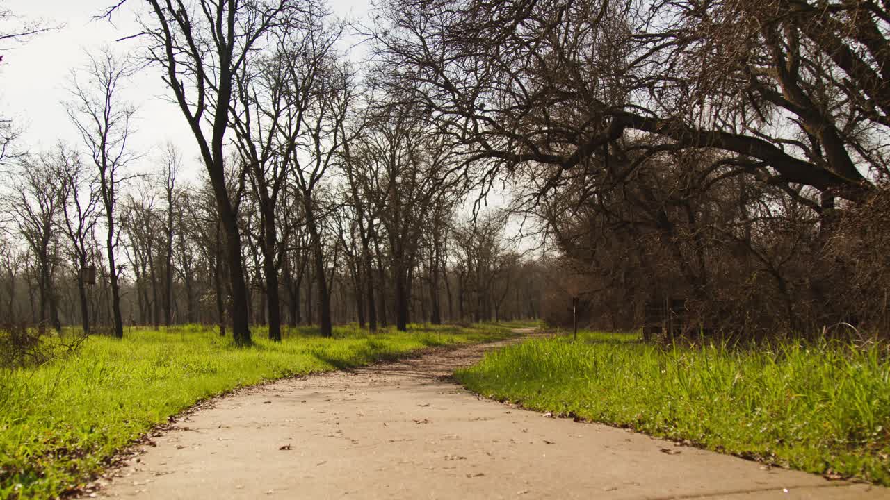 concrete pathway leading through a quiet forest park surrounded by bright green grass and tall leafless trees
