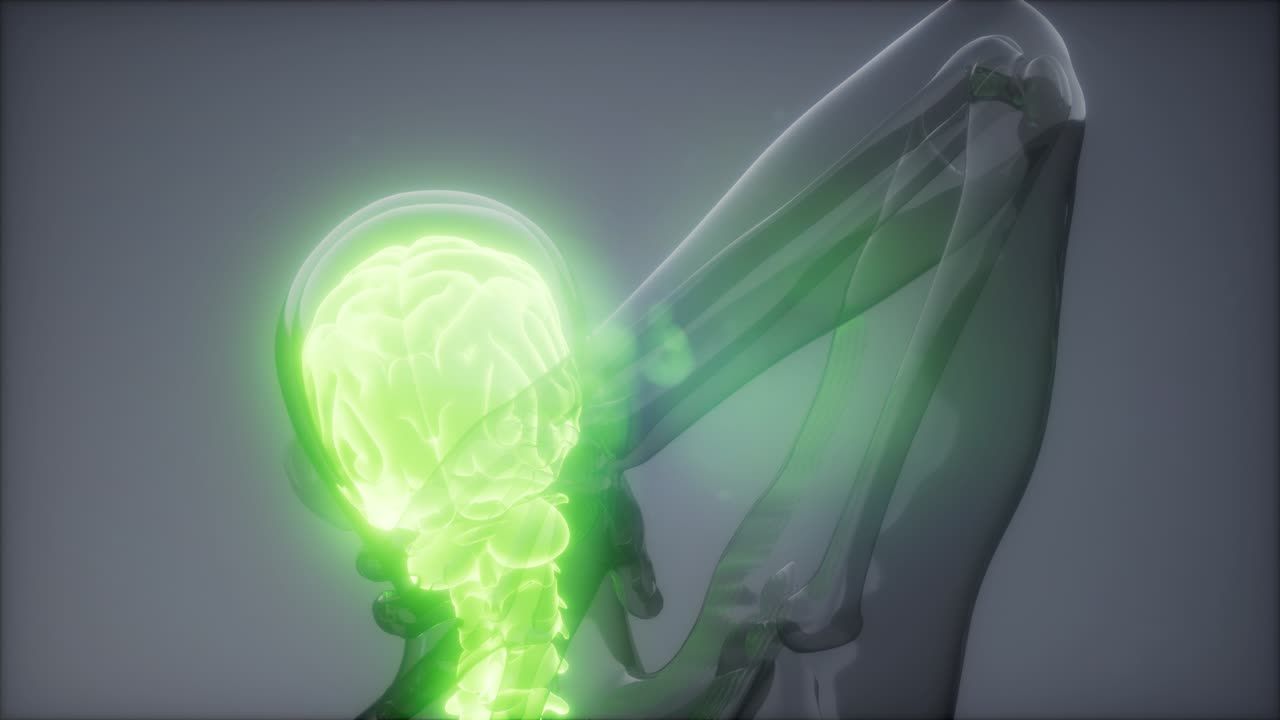 dolor de espalda en los huesos de la espalda